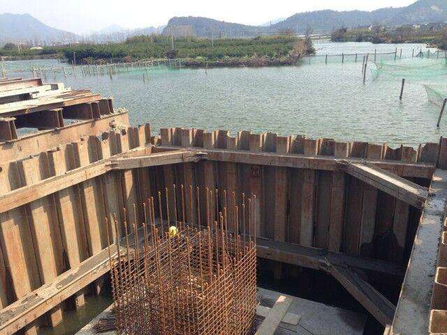 成功案例标题五